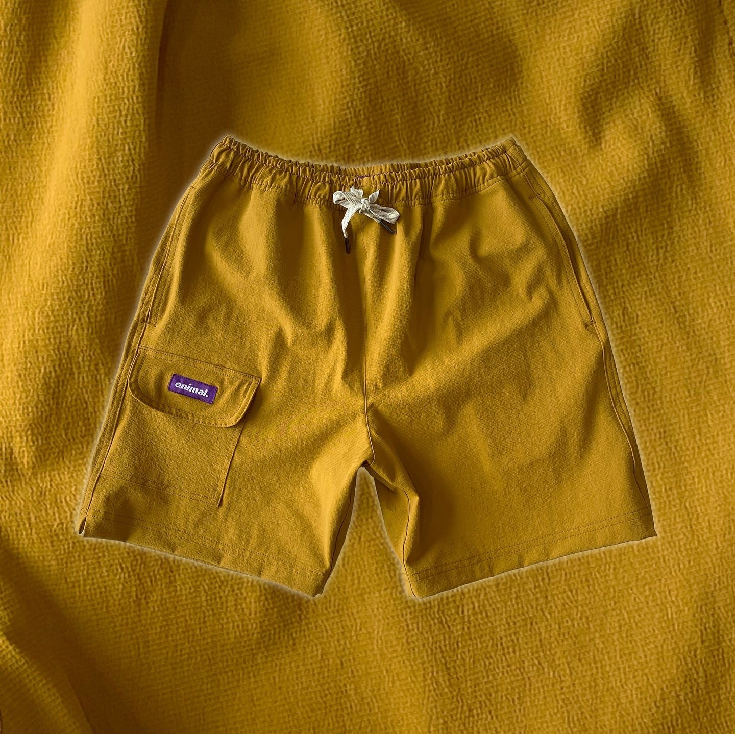 Birdwell Shorts