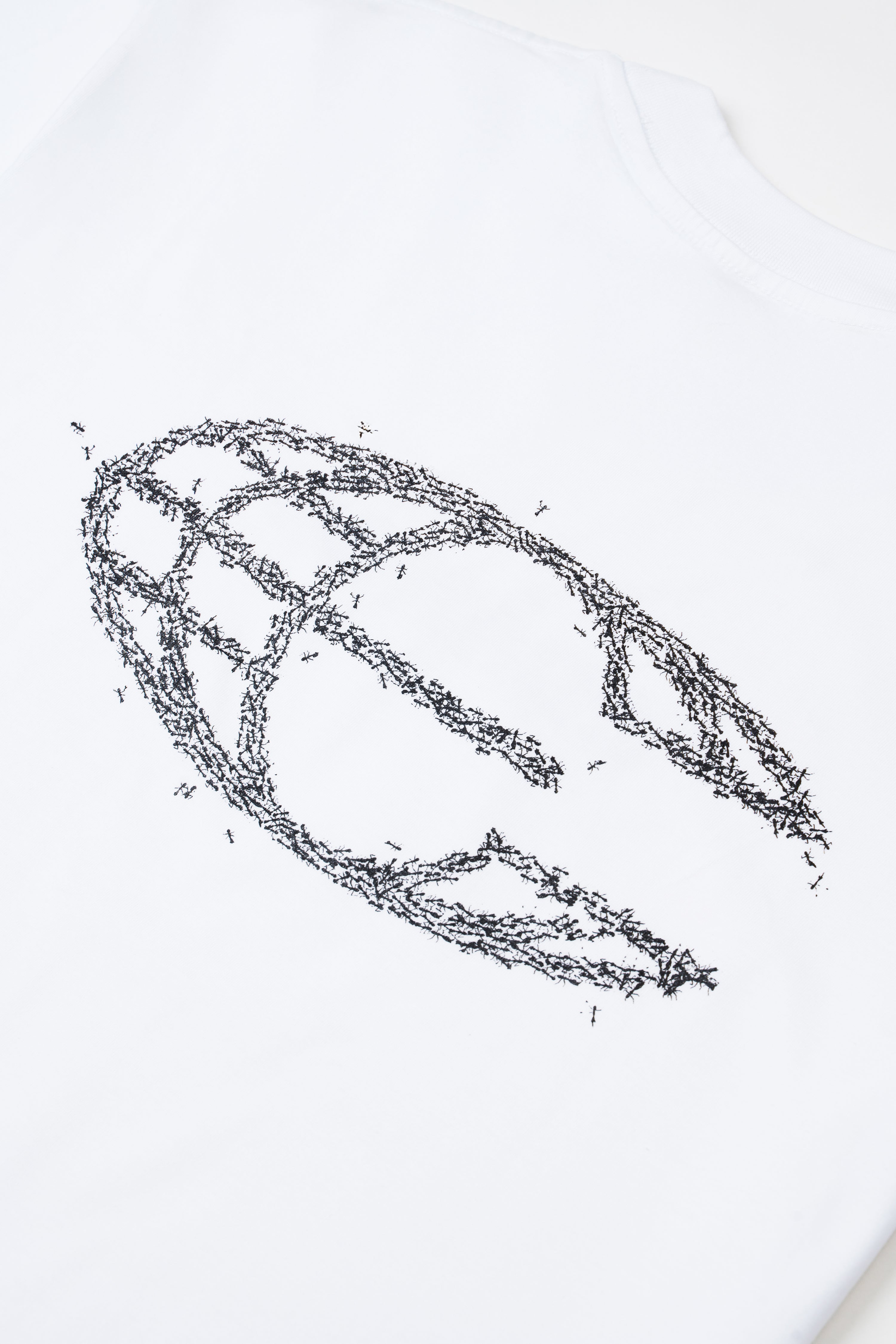 Ants Semi-Cropped Tshirt