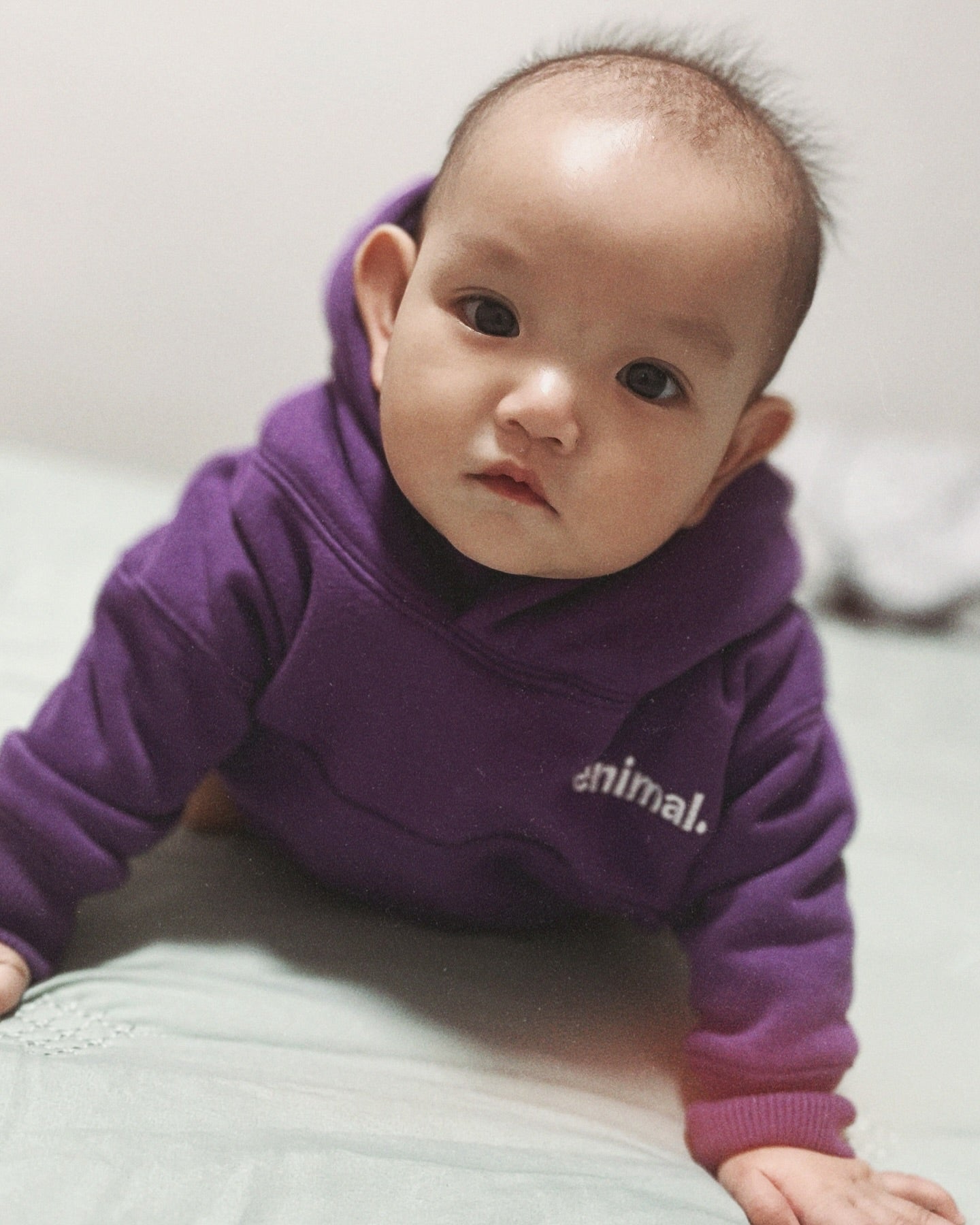 Enimal "Wordmark" Embroidered Hoodie for Kids & Toddlers