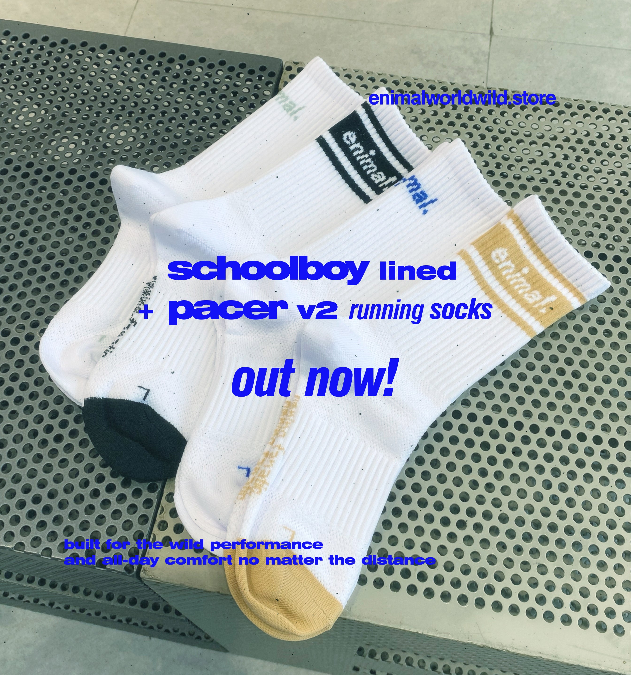 Schoolboy Lined Running Socks