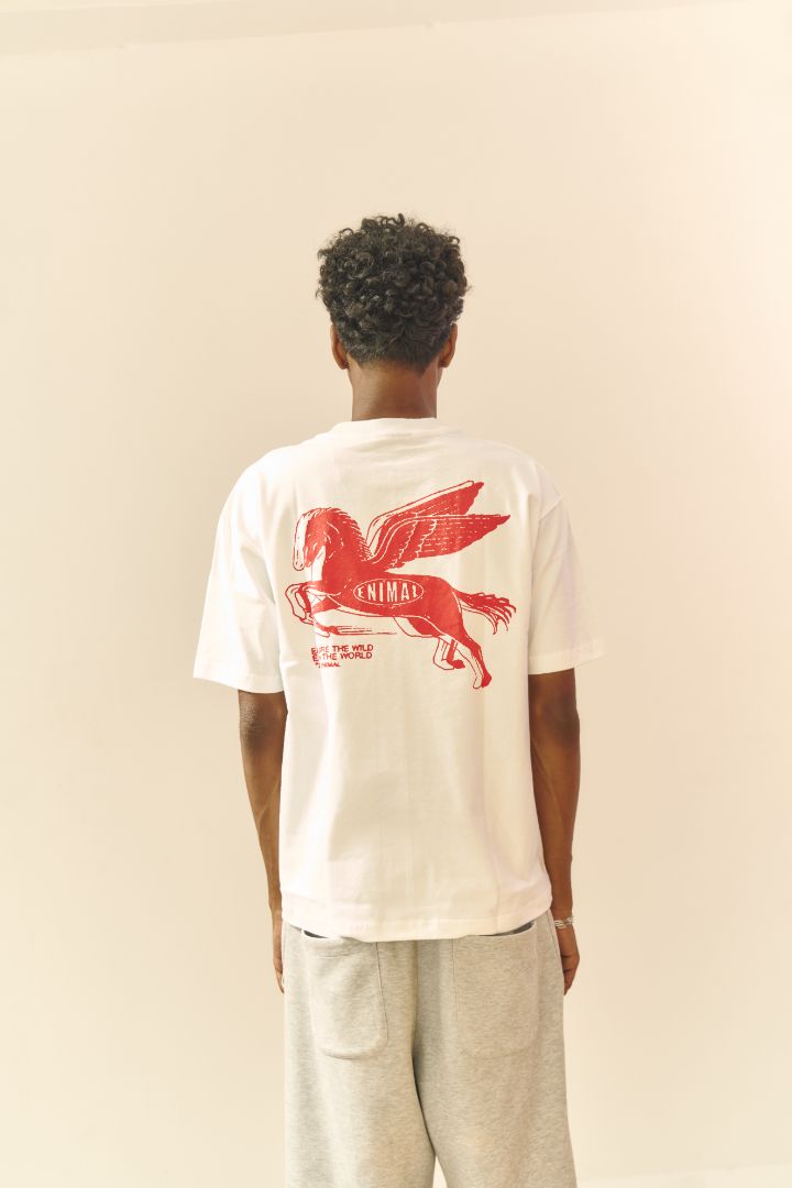 Year of the Horse