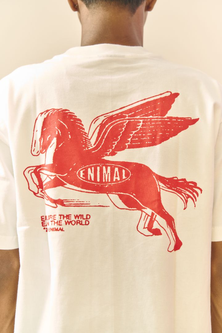 Year of the Horse