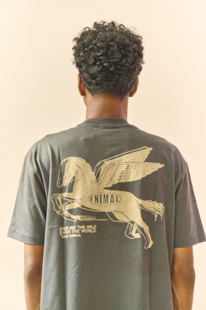 Year of the Horse