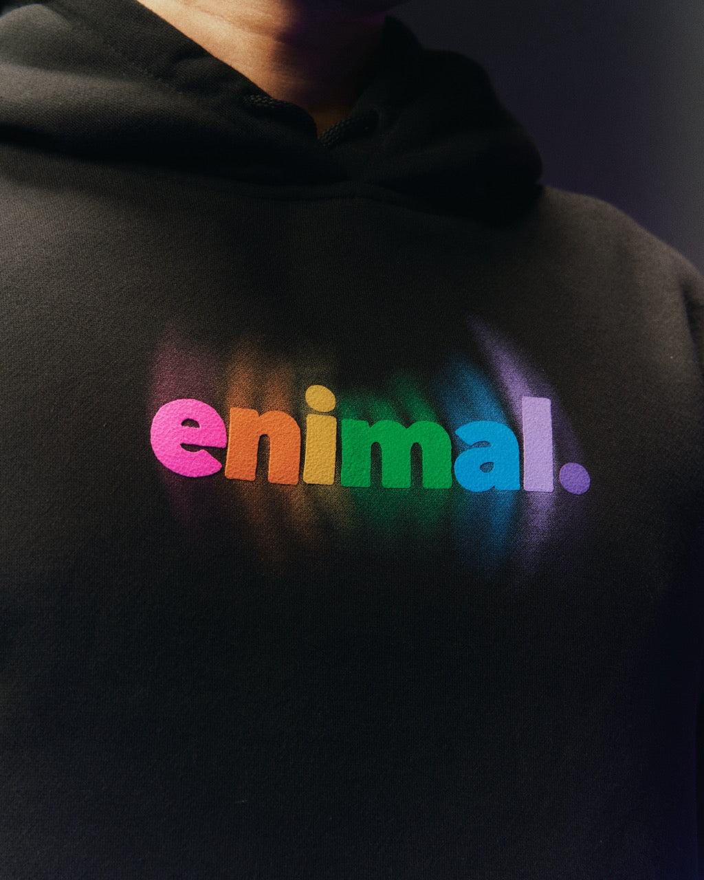 Rainbow Pullover Hoodie